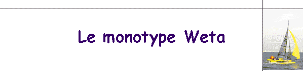 Le monotype Weta